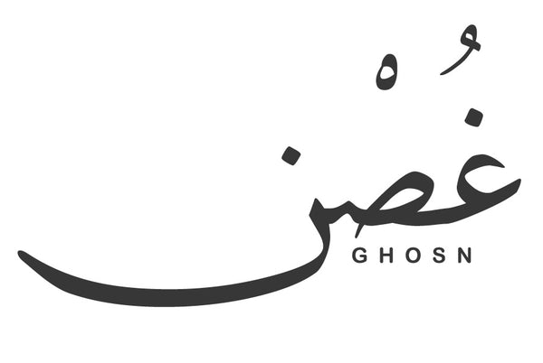 Ghosn Studio